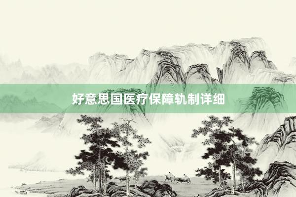 好意思国医疗保障轨制详细